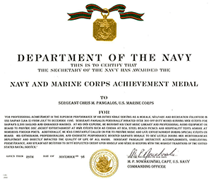 Navy-Marine Achievement Award